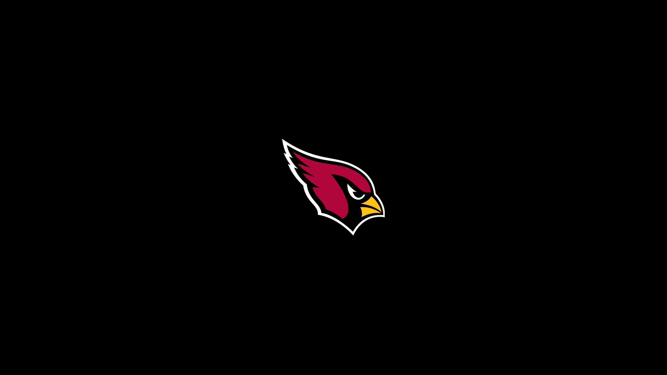 Arizona Cardinals - NFL - Square Bettor