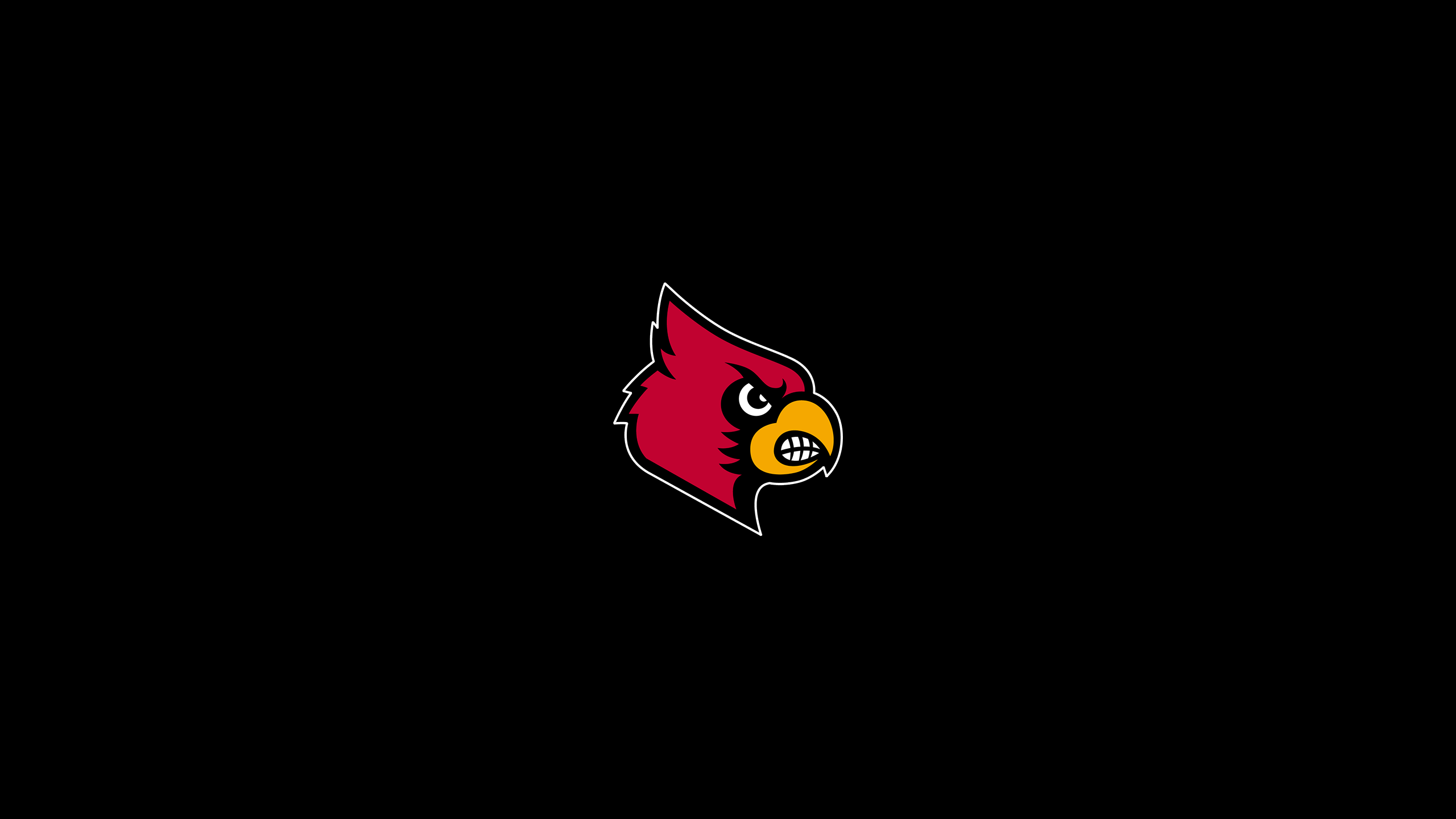 Louisville Cardinals Football - NCAAF - Square Bettor