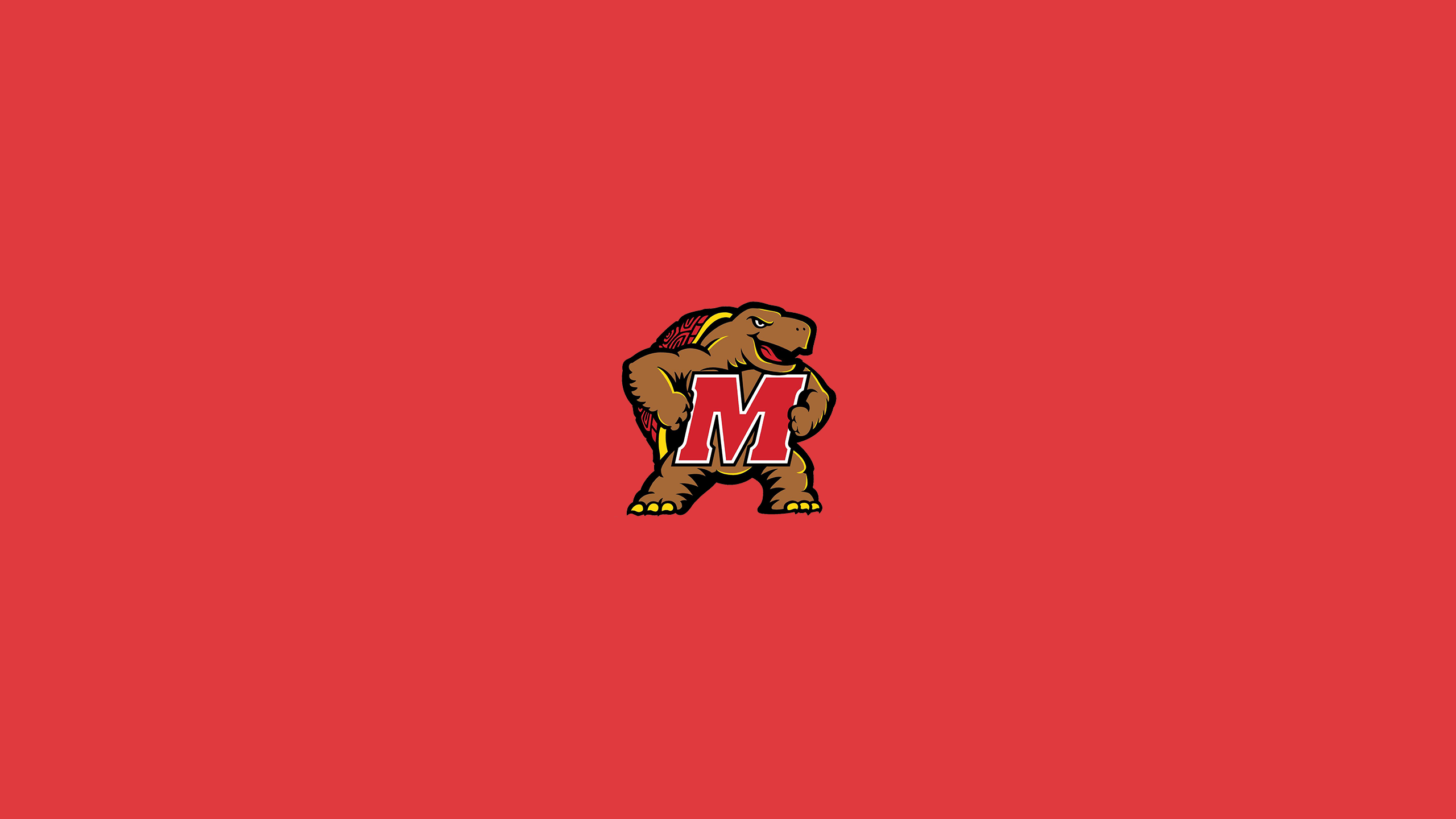 Maryland Terrapins Football - NCAAF - Square Bettor