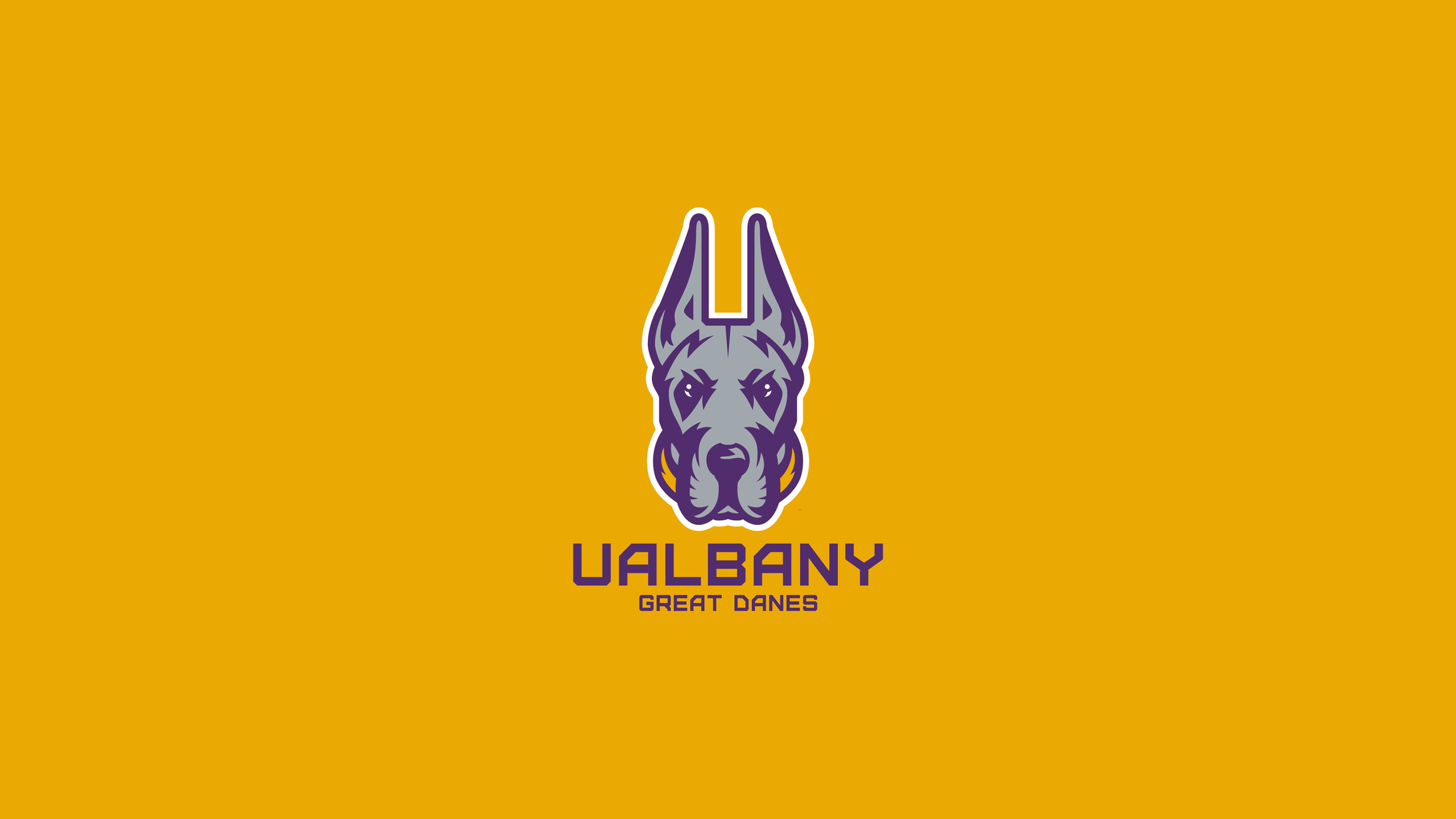 Albany Great Danes Basketball - NCAAB - Square Bettor