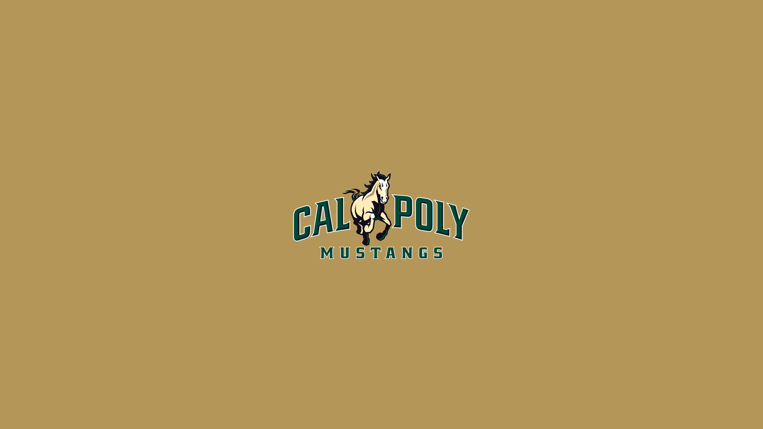 Cal Poly Mustangs Basketball - NCAAB - Square Bettor