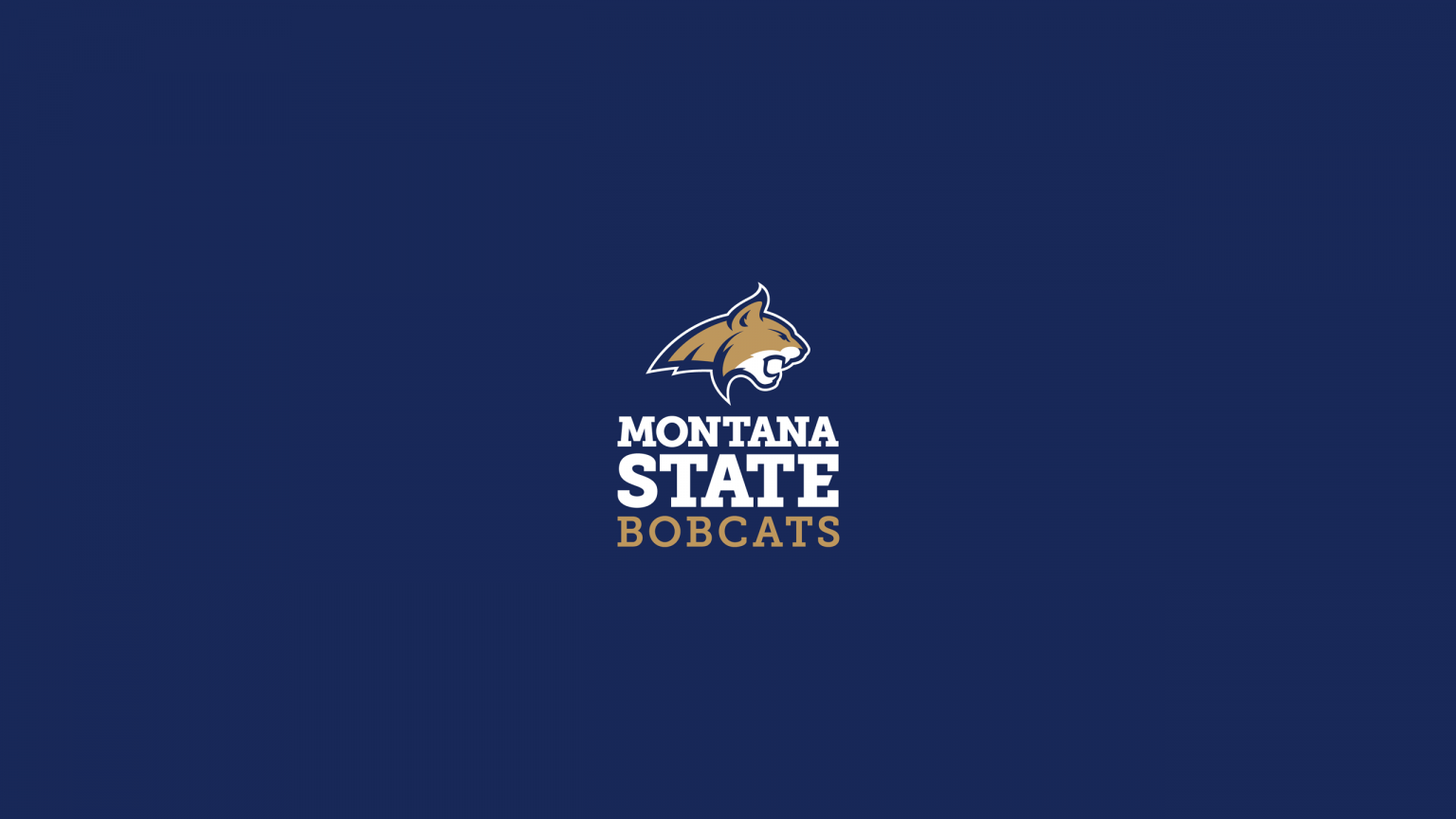 Montana State Bobcats Basketball - NCAAB - Square Bettor