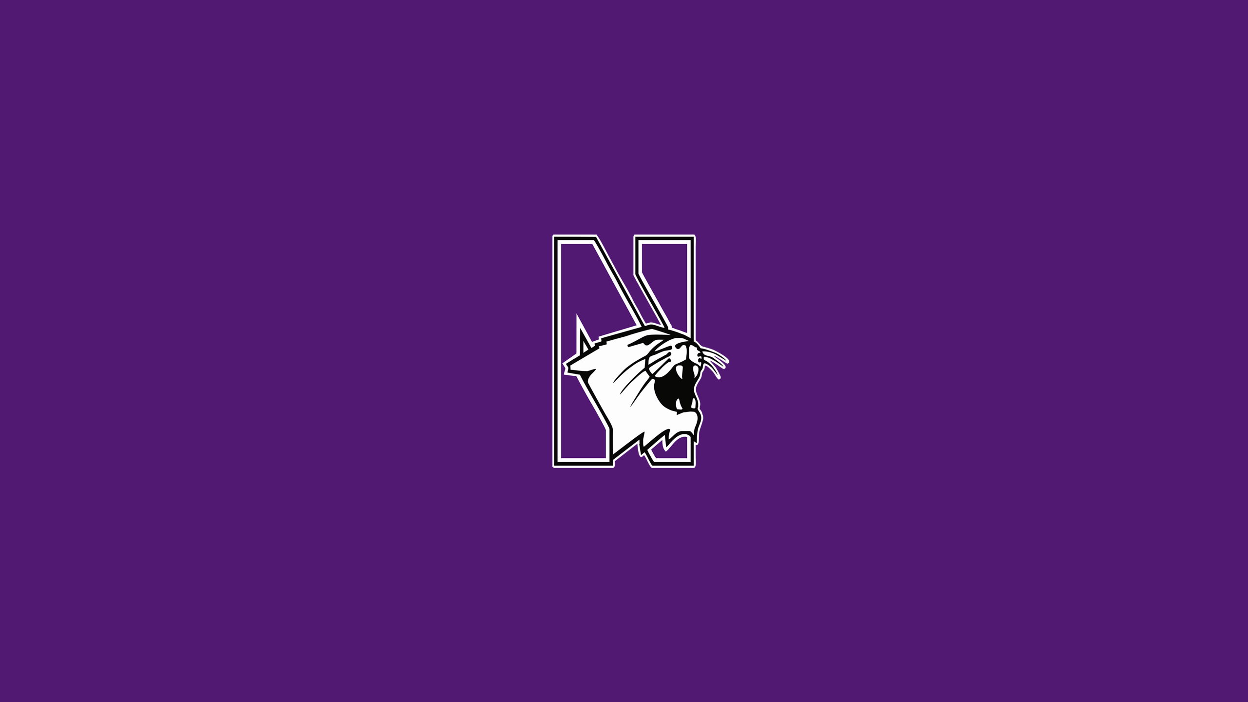 Northwestern Wildcats Basketball - NCAAB - Square Bettor