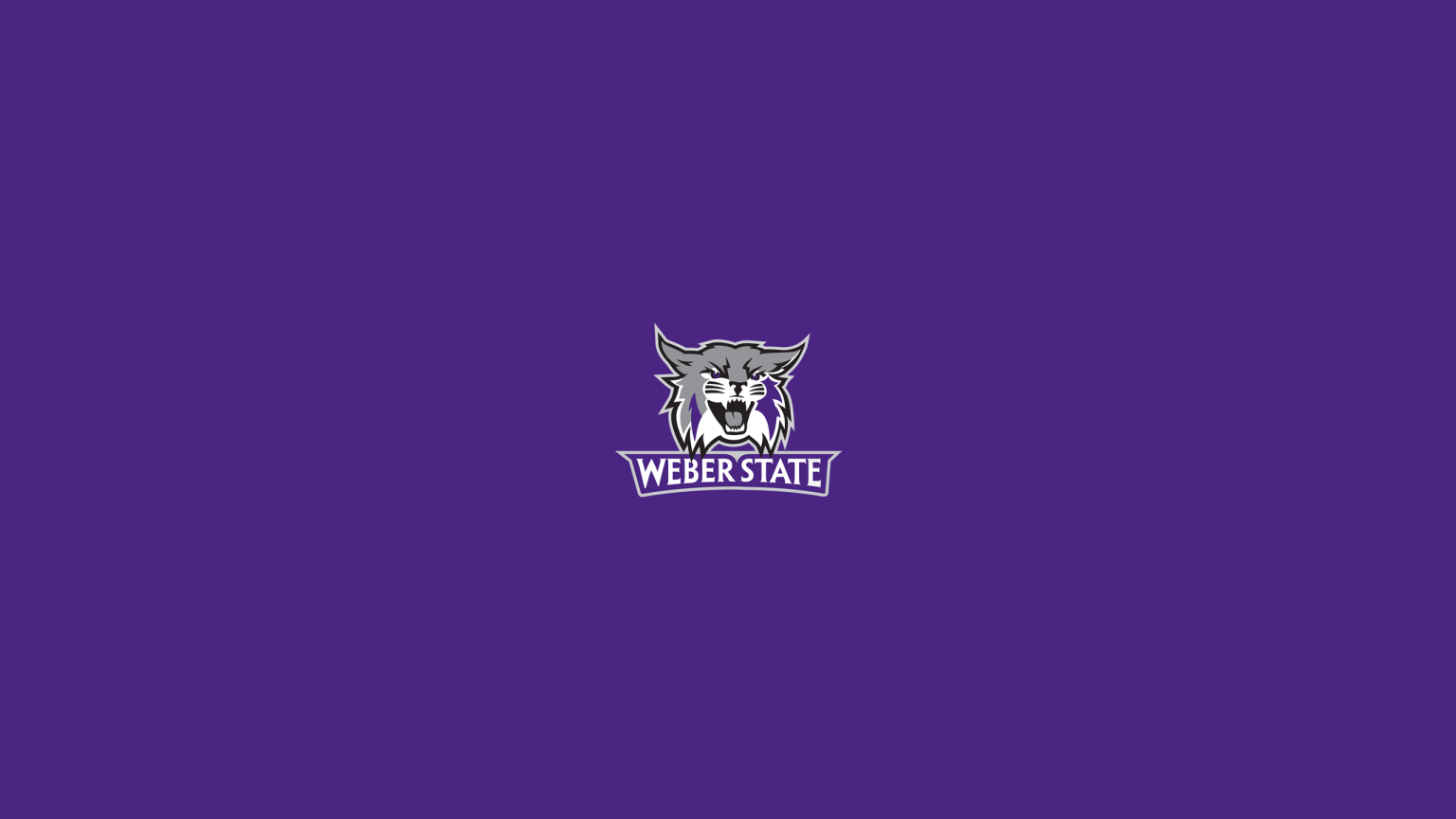 Weber State Wildcats Basketball - NCAAB - Square Bettor