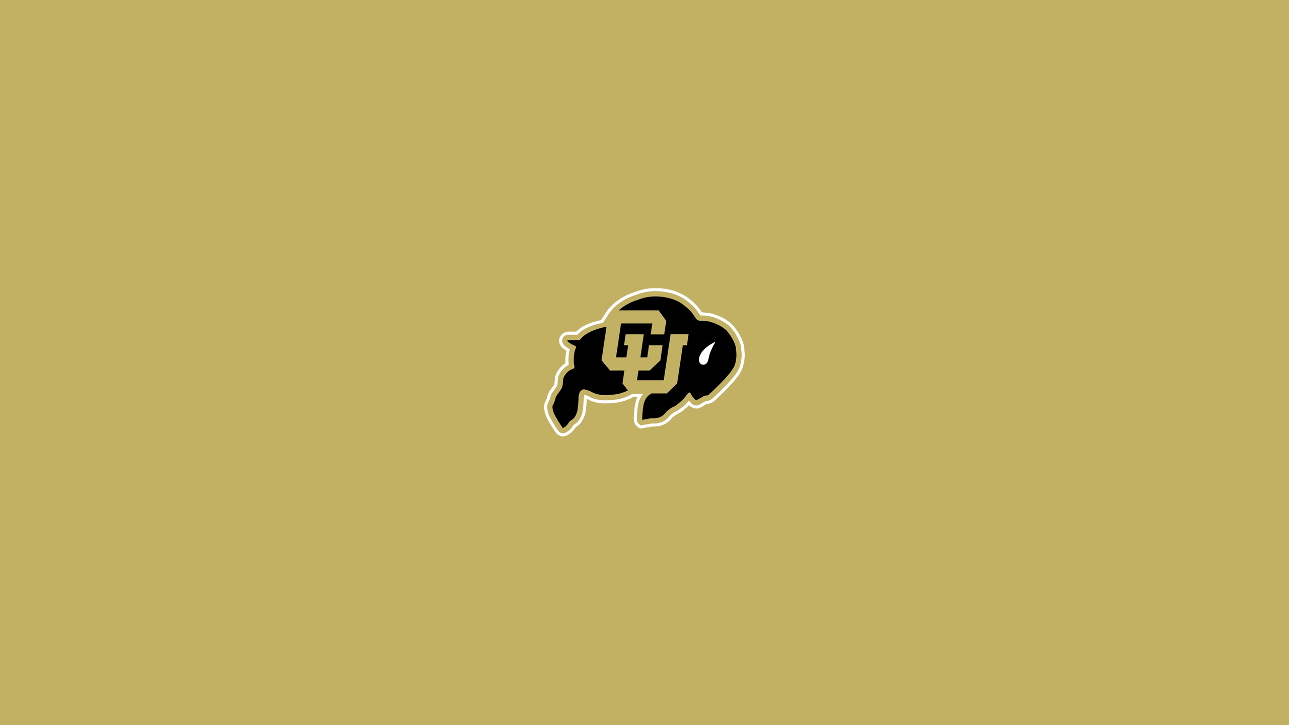 Colorado Buffaloes Basketball - NCAAB - Square Bettor