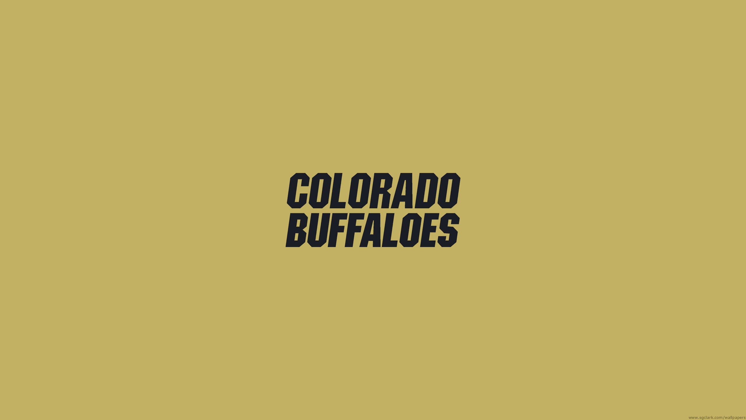 Colorado Buffaloes Basketball - NCAAB - Square Bettor