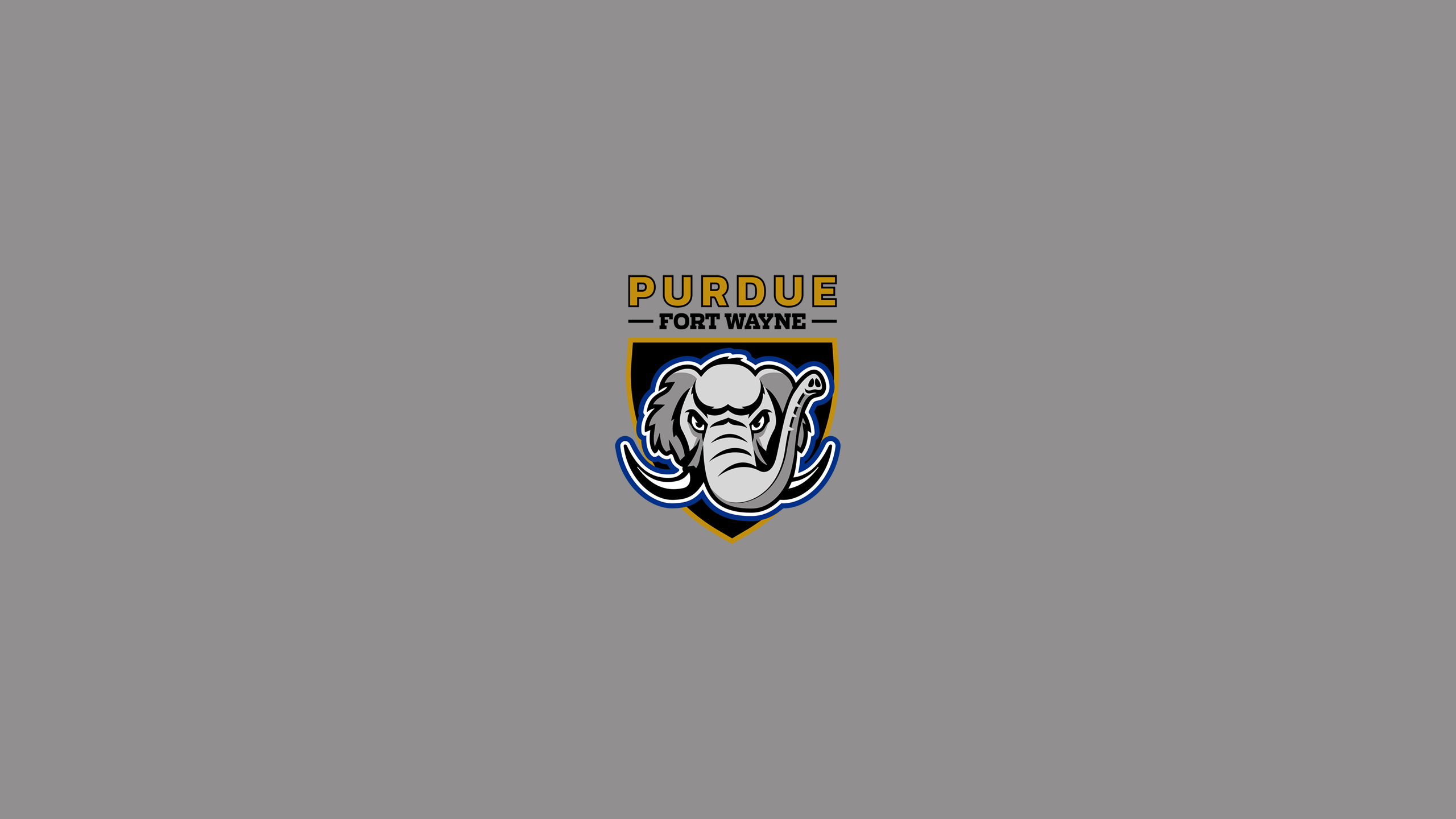 Purdue Fort Wayne Mastodons Basketball - NCAAB - Square Bettor