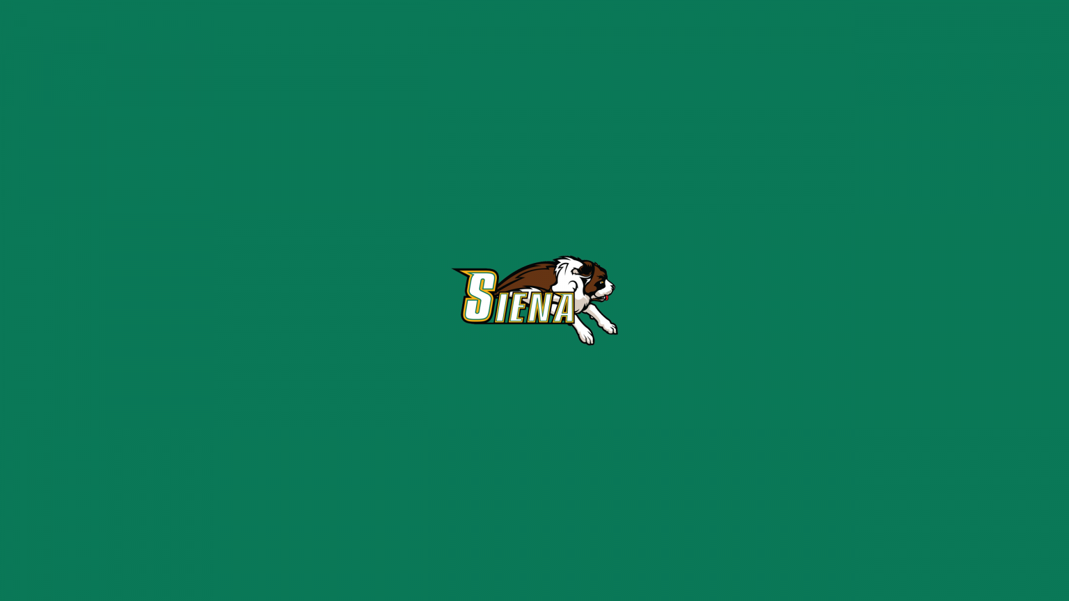 Siena Saints Basketball - NCAAB - Square Bettor