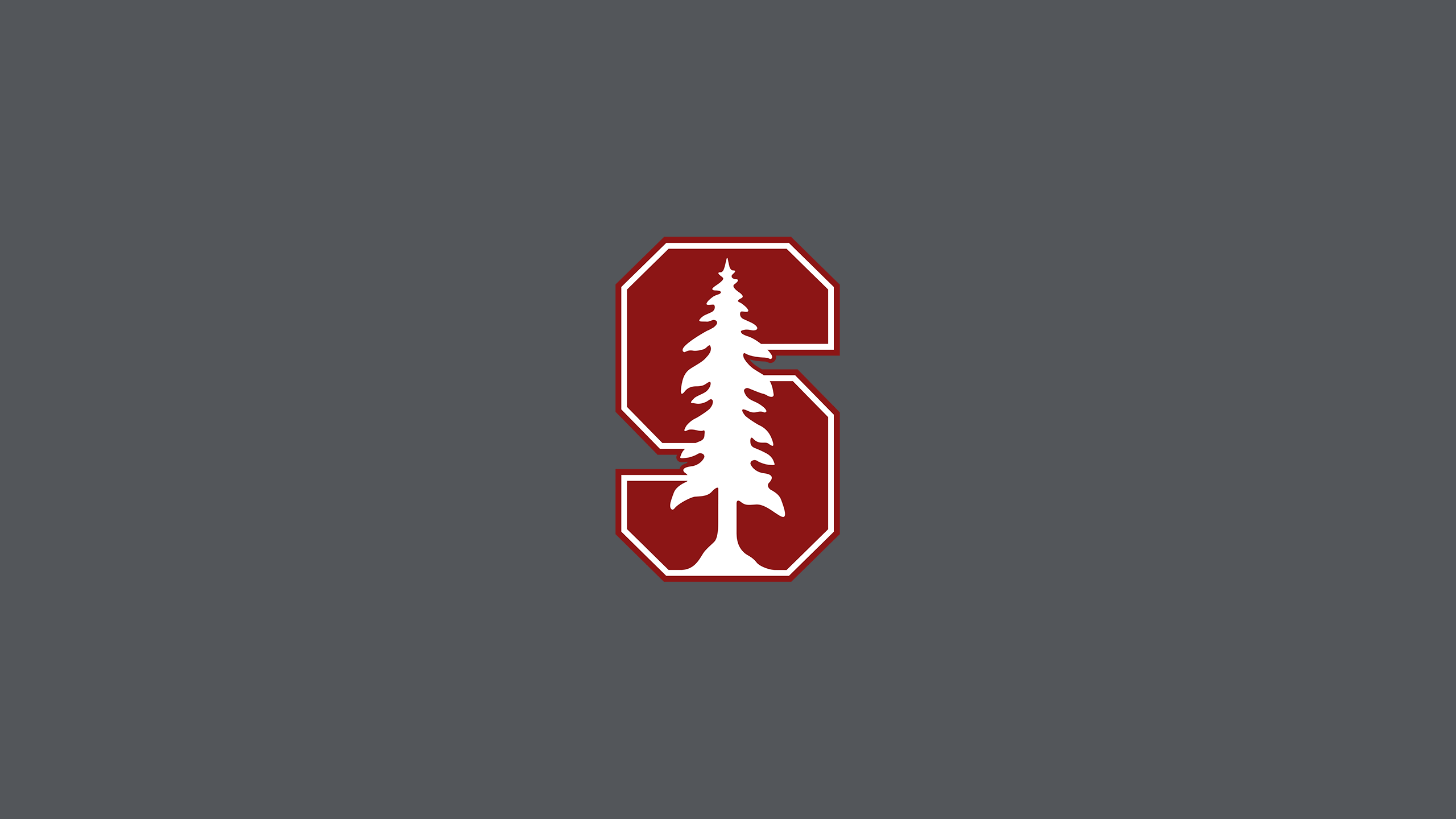 Stanford Cardinal Basketball I - NCAAB - Square Bettor