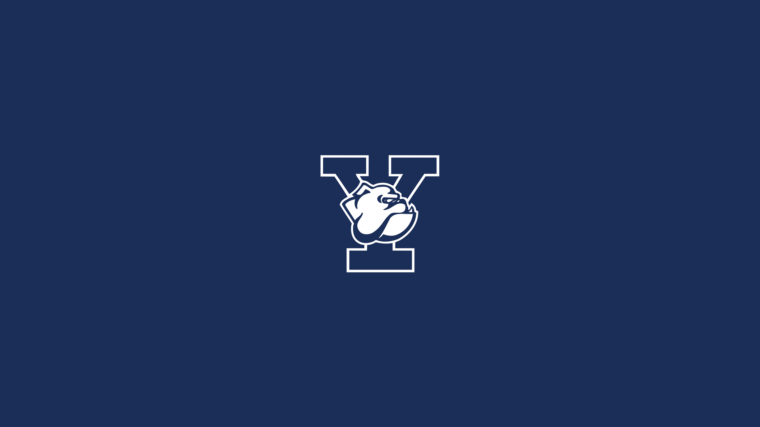 Yale Bulldogs Basketball - NCAAB - Square Bettor