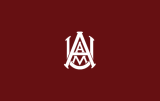 Alabama A&M Bulldogs Basketball - NCAAB - Square Bettor