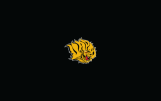Arkansas-Pine Bluff Golden Lions Basketball - NCAAB - Square Bettor