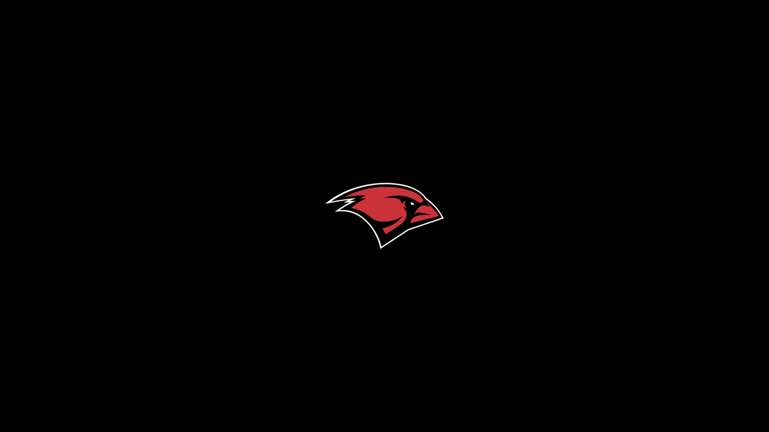 Incarnate Word Cardinals Basketball - NCAAB - Square Bettor
