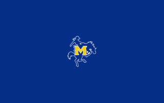 McNeese State Cowboys Basketball - NCAAB - Square Bettor