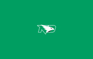 North Dakota Fighting Hawks Basketball - NCAAB - Square Bettor