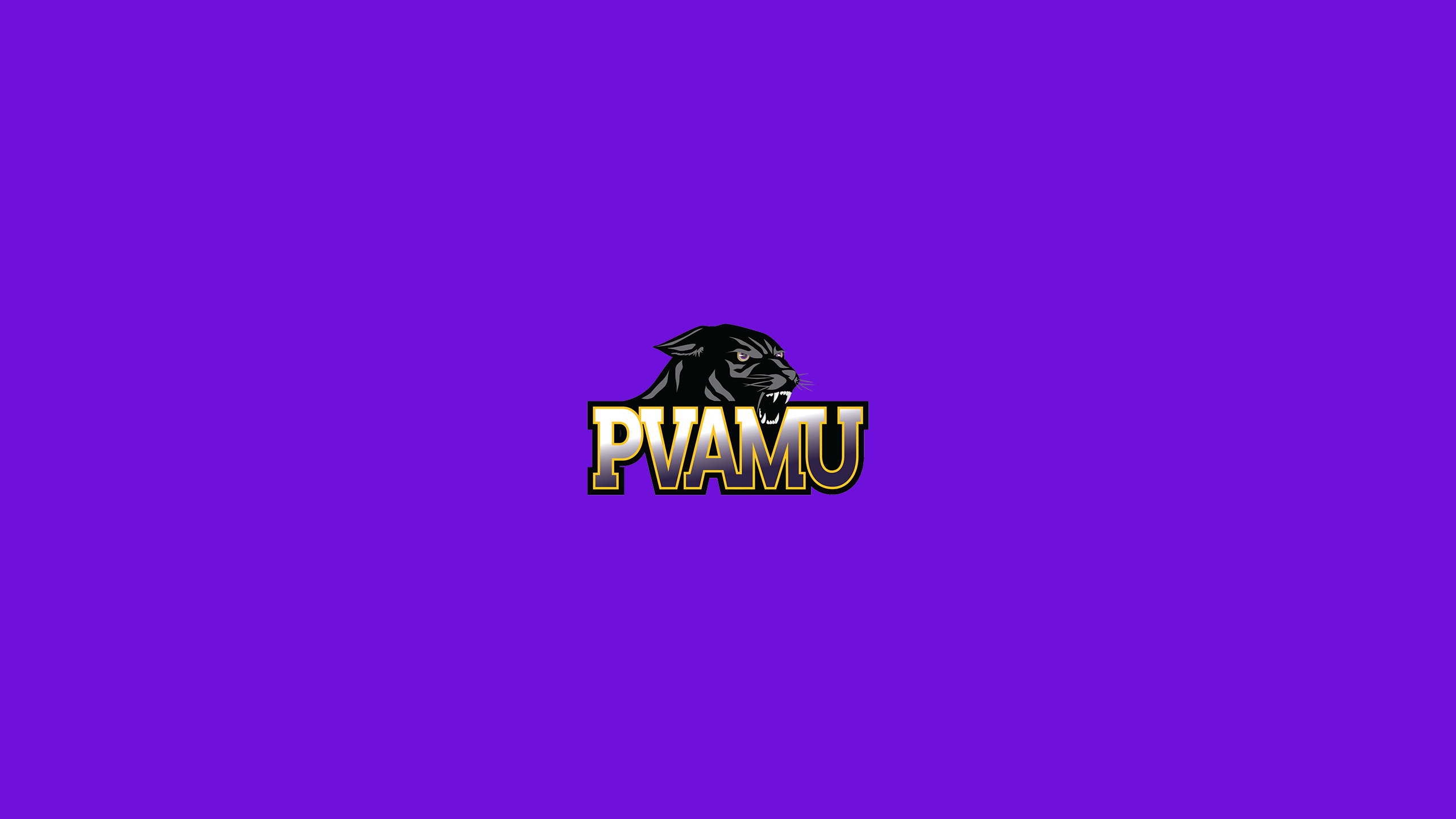 Prairie View A&M Panthers Basketball - NCAAB - Square Bettor