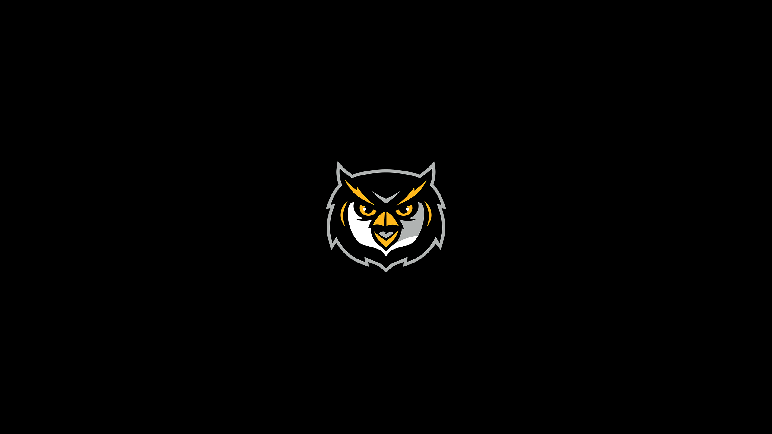 Kennesaw State Owls - College Football - Square Bettor