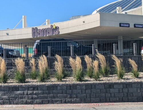 Harrah’s Council Bluffs Sportsbook Review