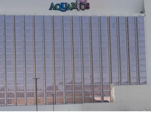 Aquarius Laughlin Sportsbook Review