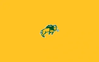 North Dakota State Bison Football - NCAAF - Square Bettor